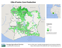 images\IV\cropprod\CoteDIvoire_Corn_preview.png